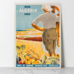 Vintage - Algérie - Algérie Pays de Grande production Agricole-Dormoy Henri 1830 1930