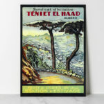 Vintage- Algérie - Téniet El Had - Forêt de cèdres - Dzeco Art