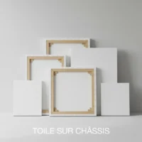 Toile sur Châssis Dzeco Art